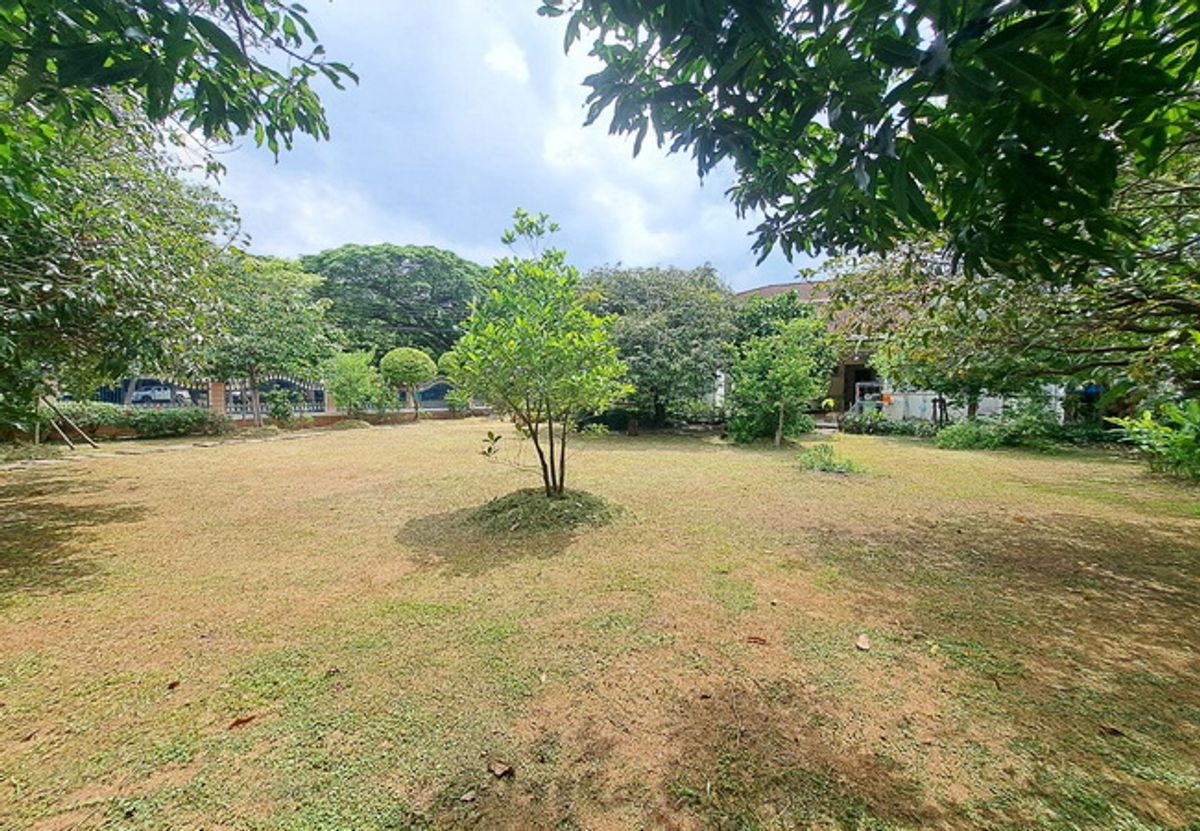 For SaleLandNawamin, Ramindra : Land for sale in Nantawan village Ram Inthra-Watcharapol, Sukhaphiban 5 Road, area 137 sq.w.