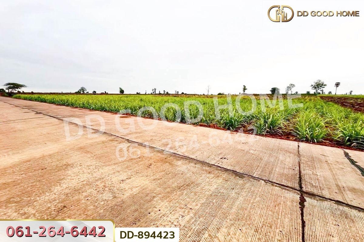 ขายที่ดินอุดรธานี : DD-894423 ที่ดินโนนสะอาด 44 ไร่ 392 ตร.ว. อุดรธานี ใกล้ไปรษณีย์ สาขาโนนสะอาด