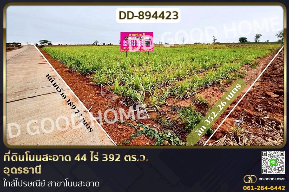 ขายที่ดินอุดรธานี : DD-894423 ที่ดินโนนสะอาด 44 ไร่ 392 ตร.ว. อุดรธานี ใกล้ไปรษณีย์ สาขาโนนสะอาด