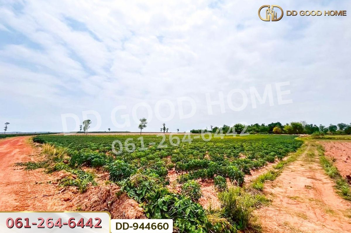 ขายที่ดินอุดรธานี : DD-944660 ที่ดินโนนสะอาด 11 ไร่ 349 ตร.ว. อุดรธานี ใกล้โรงเรียนบ้านหนองโก