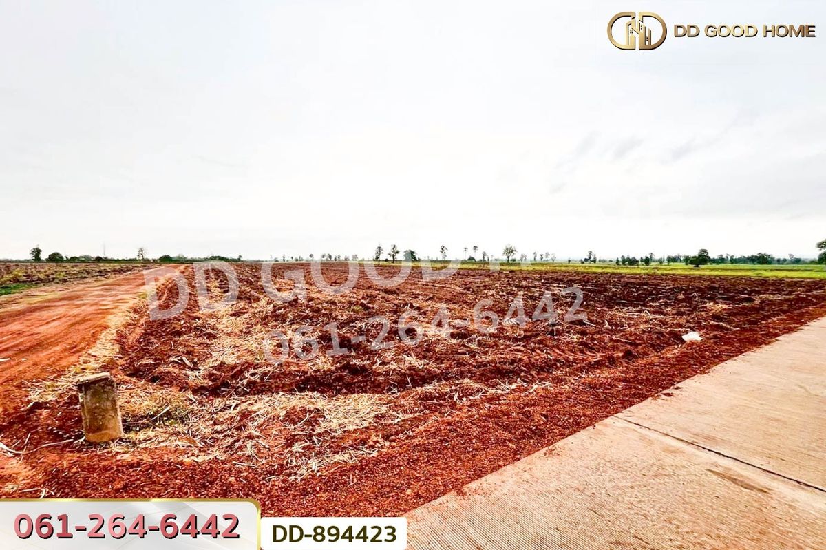 ขายที่ดินอุดรธานี : DD-894423 ที่ดินโนนสะอาด 44 ไร่ 392 ตร.ว. อุดรธานี ใกล้ไปรษณีย์ สาขาโนนสะอาด