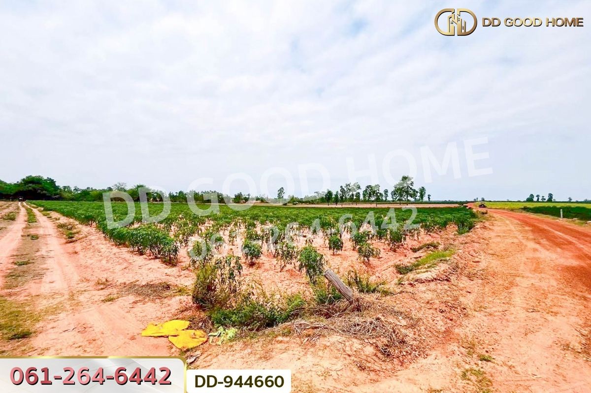 ขายที่ดินอุดรธานี : DD-944660 ที่ดินโนนสะอาด 11 ไร่ 349 ตร.ว. อุดรธานี ใกล้โรงเรียนบ้านหนองโก