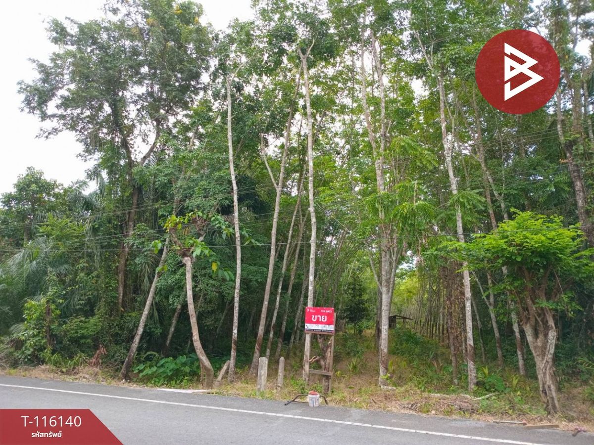 ขายที่ดินนครศรีธรรมราช : ขายที่ดิน เนื้อที่ 3 ไร่ 3 งาน 95.0 ตร.วา พระพรหม นครศรีธรรมราช