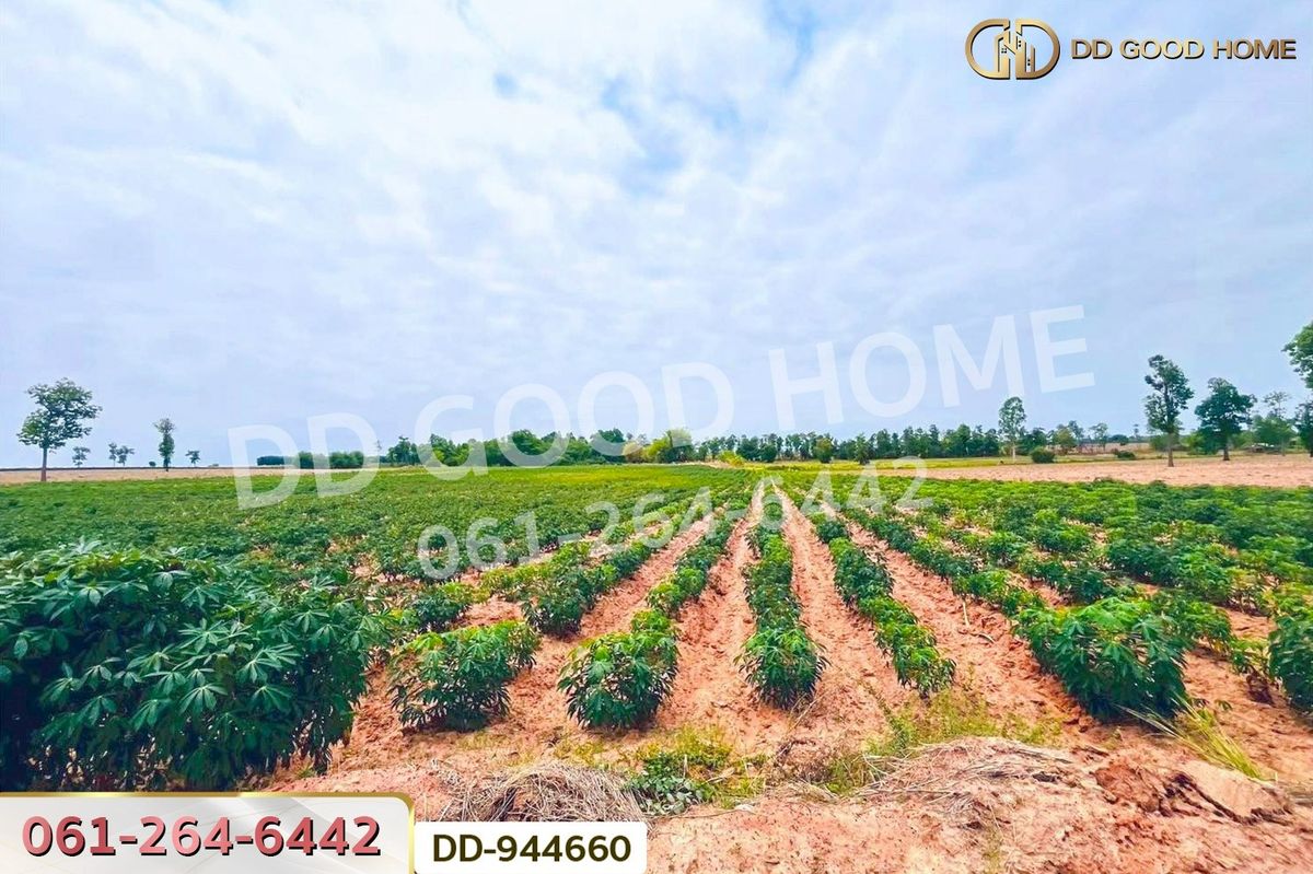 ขายที่ดินอุดรธานี : DD-944660 ที่ดินโนนสะอาด 11 ไร่ 349 ตร.ว. อุดรธานี ใกล้โรงเรียนบ้านหนองโก