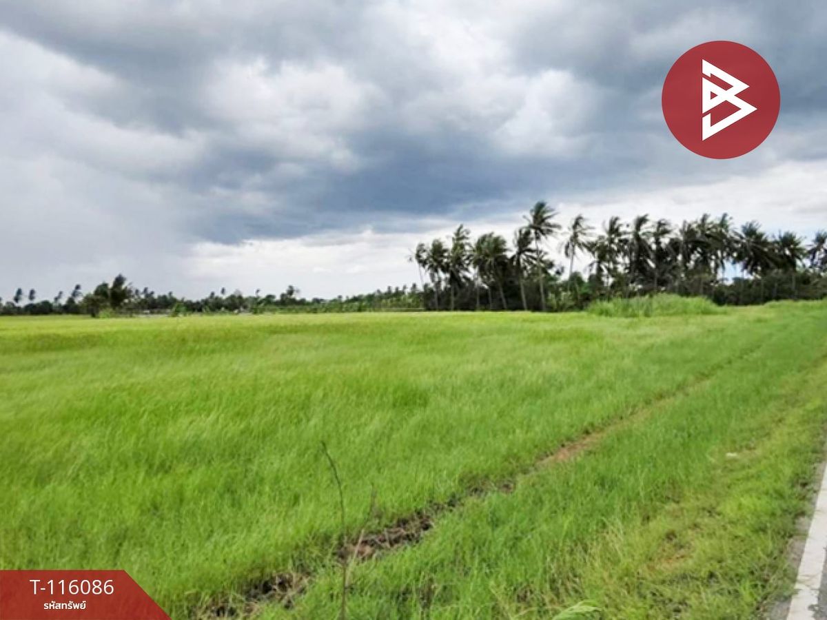 ขายที่ดินสมุทรสงคราม : ขายที่ดิน เนื้อที่ 2 ไร่ 1 งาน 85 ตร.วา อัมพวา สมุทรสงคราม