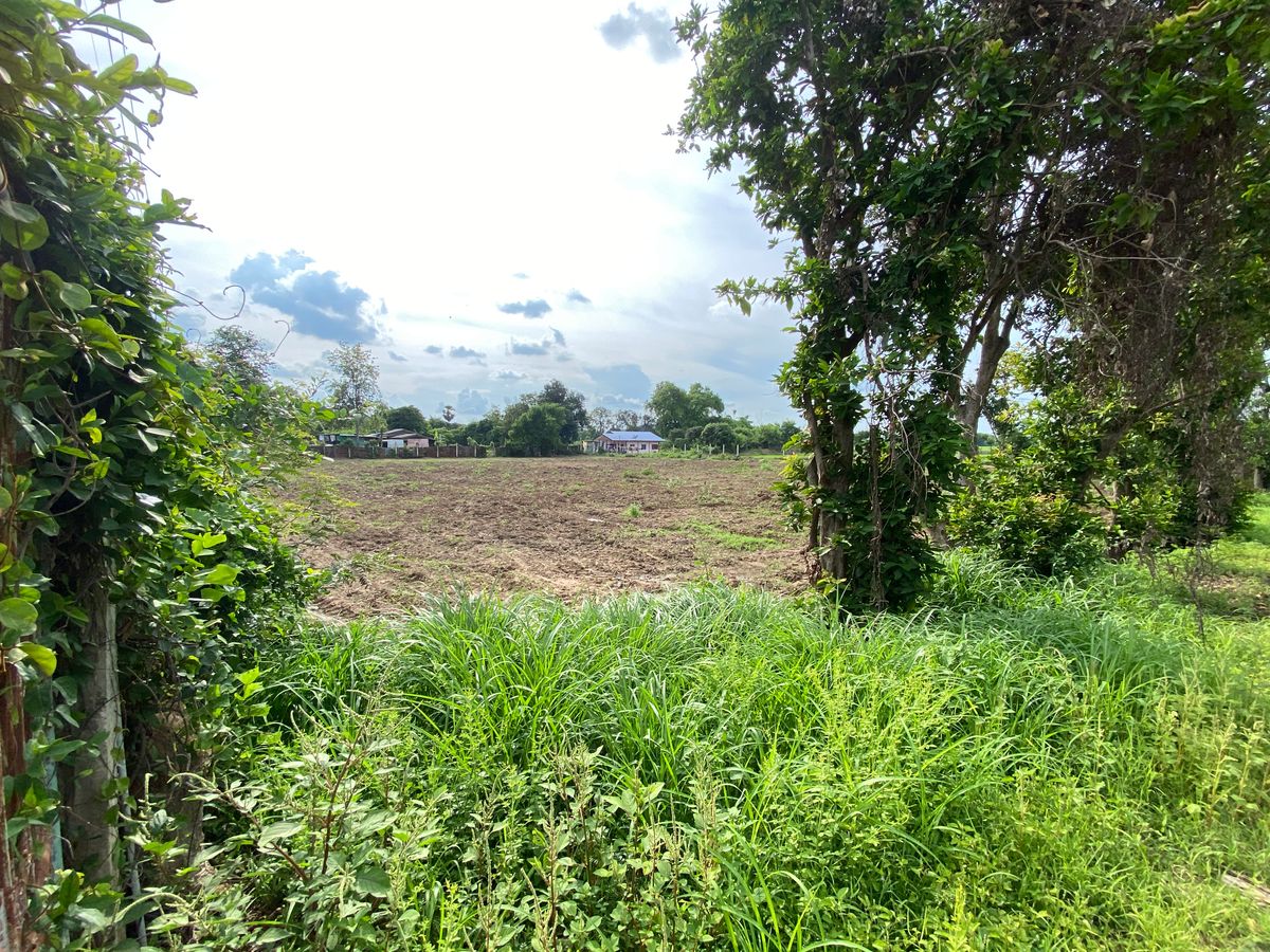 For SaleLandSing Buri : Land for sale in Sing Buri Opposite Phra Non Temple For doing business, factory, warehouse, hotel, 88 meters wide, 83 meters deep Next to Highway 3032