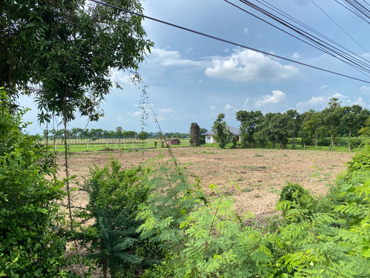 For SaleLandSing Buri : Land for sale in Sing Buri Opposite Phra Non Temple For doing business, factory, warehouse, hotel, 88 meters wide, 83 meters deep Next to Highway 3032