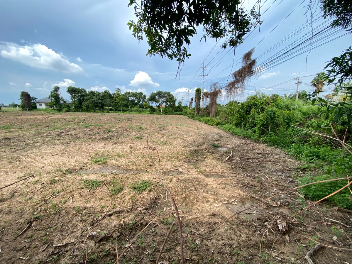 For SaleLandSing Buri : Land for sale in Sing Buri Opposite Phra Non Temple For doing business, factory, warehouse, hotel, 88 meters wide, 83 meters deep Next to Highway 3032