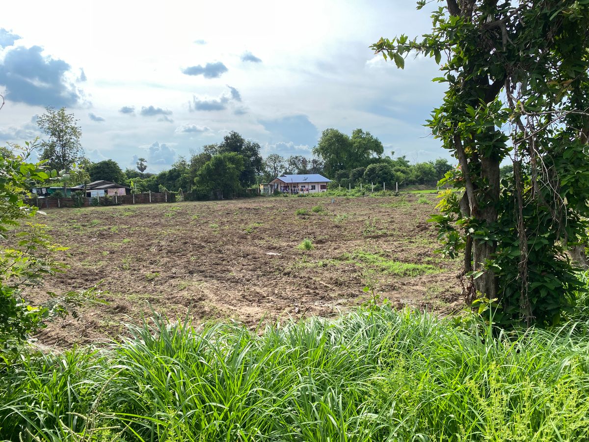 For SaleLandSing Buri : Land for sale in Sing Buri Opposite Phra Non Temple For doing business, factory, warehouse, hotel, 88 meters wide, 83 meters deep Next to Highway 3032