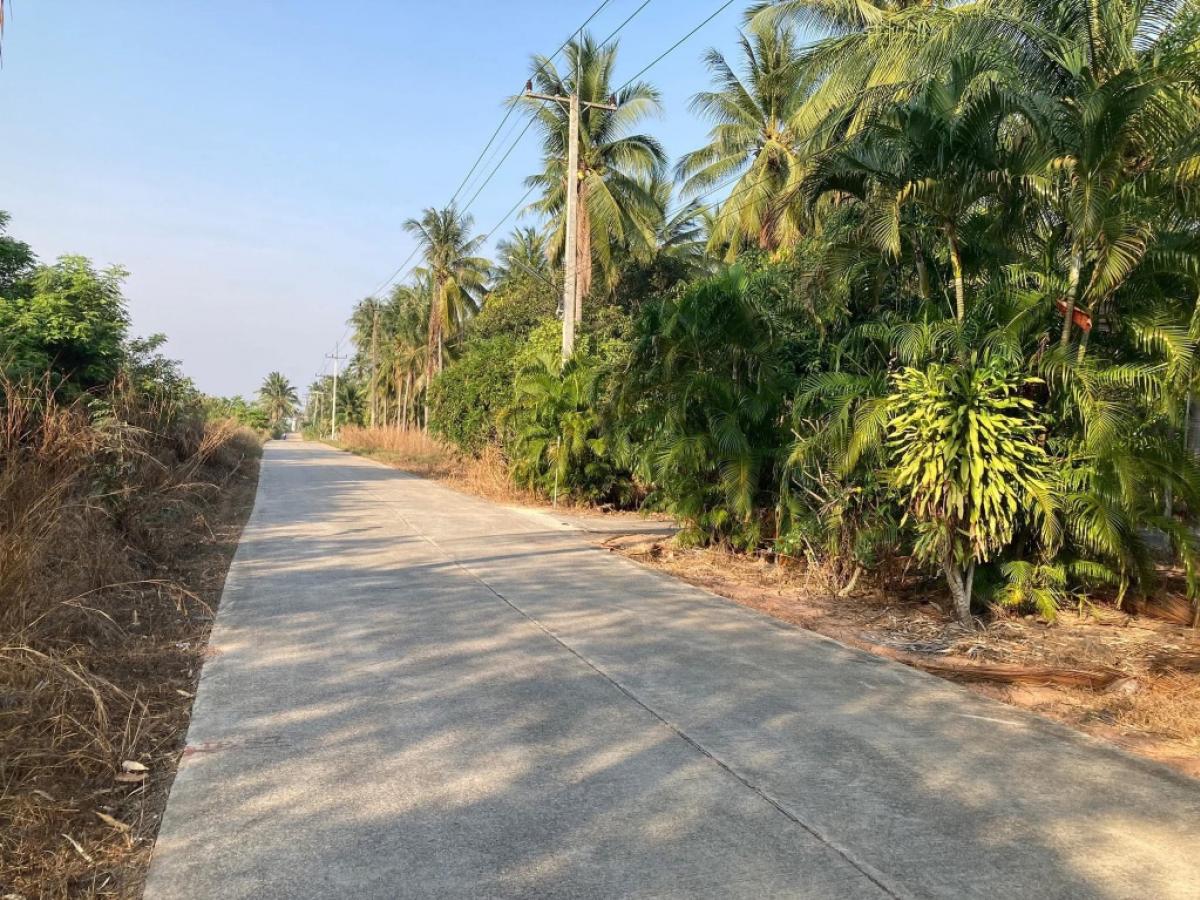 ขายที่ดินหัวหิน ประจวบคีรีขันธ์ : ที่ใกล้ทะเล พร้อมสวนมะพร้าว จ.ประจวบฯ ทับสะแก