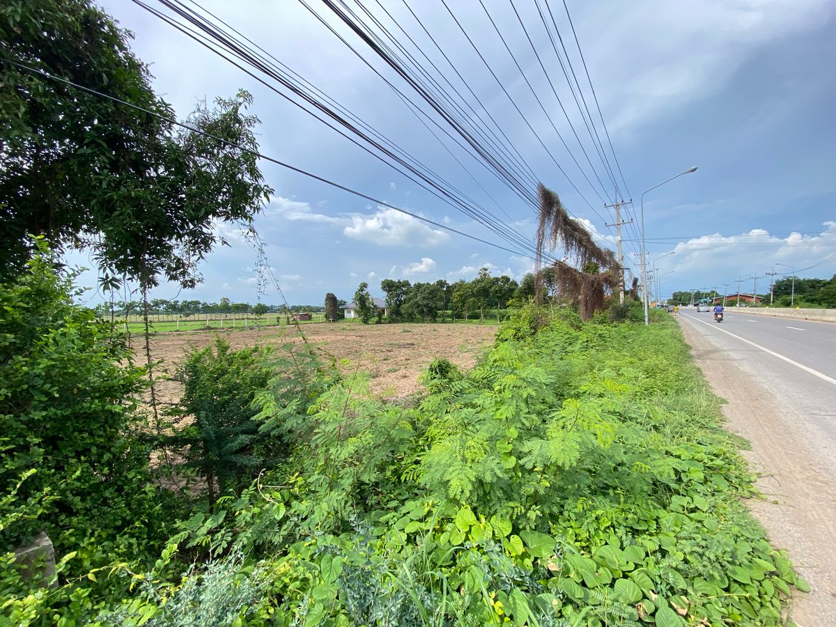 For SaleLandSing Buri : Land for sale in Sing Buri Opposite Phra Non Temple For doing business, factory, warehouse, hotel, 88 meters wide, 83 meters deep Next to Highway 3032