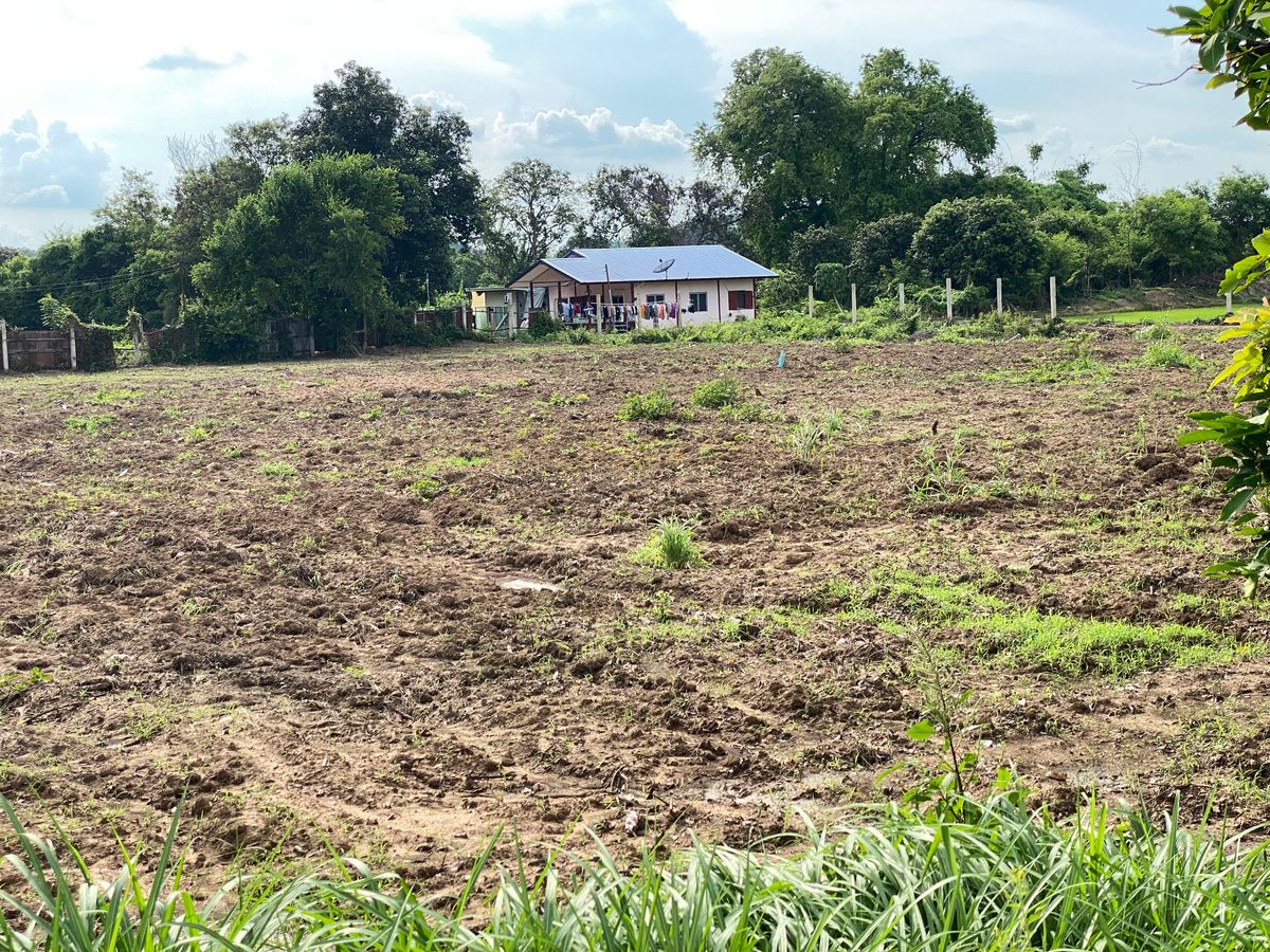 For SaleLandSing Buri : Land for sale in Sing Buri Opposite Phra Non Temple For doing business, factory, warehouse, hotel, 88 meters wide, 83 meters deep Next to Highway 3032