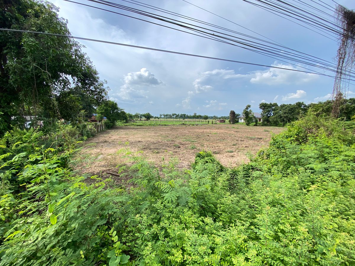 For SaleLandSing Buri : Land for sale in Sing Buri Opposite Phra Non Temple For doing business, factory, warehouse, hotel, 88 meters wide, 83 meters deep Next to Highway 3032