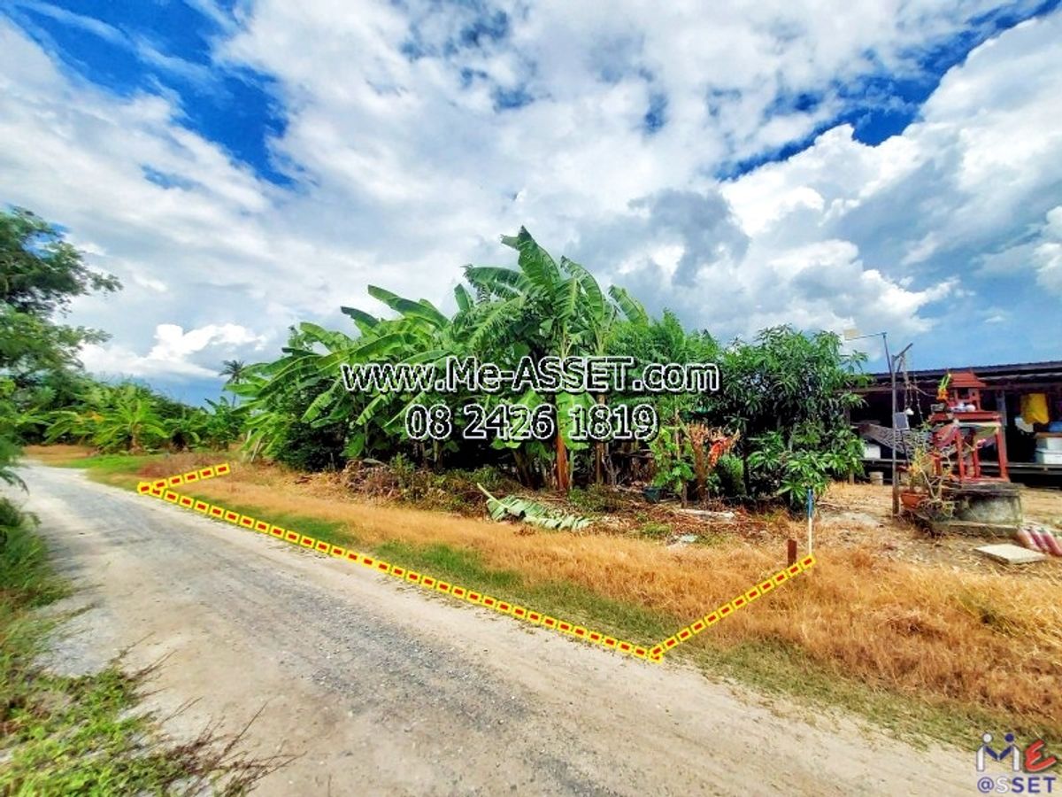 ขายที่ดินมหาชัย สมุทรสาคร : ขายที่ดินถมแล้ว โซนสวนหลวง กระทุ่มแบน เชื่อมเอกชัย บางบอน ใกล้นิคมอุตสาหกรรมสมุทรสาคร โรงงานซีพีเอฟ วัดศรีนวลธรรมวิมล : ซอยทองหลาง1 ใกล้บ้านทรัพย์ธำรงค์สวนวาสนา : 100 ตร.วา : CODE NN-91402