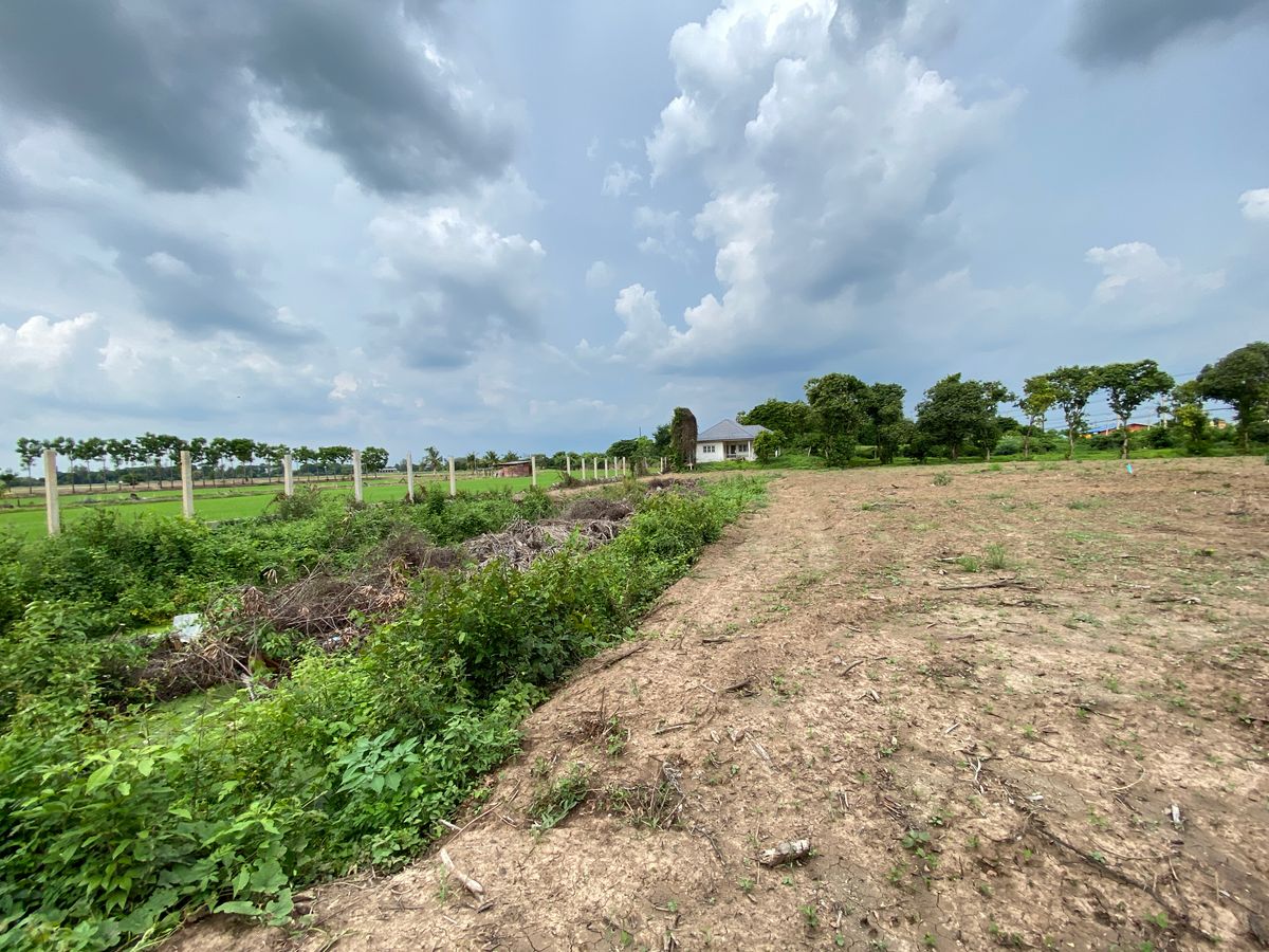 For SaleLandSing Buri : Land for sale in Sing Buri Opposite Phra Non Temple For doing business, factory, warehouse, hotel, 88 meters wide, 83 meters deep Next to Highway 3032