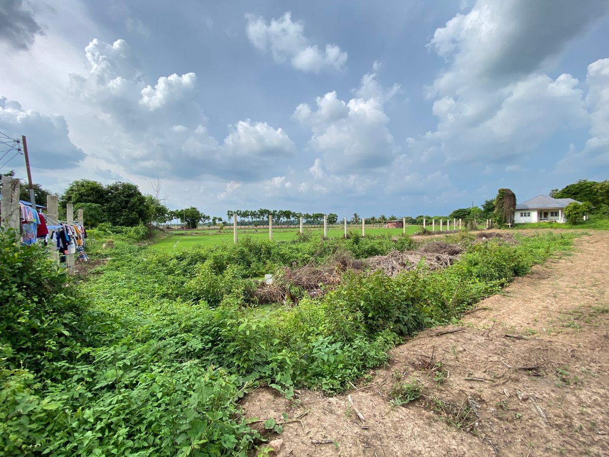 For SaleLandSing Buri : Land for sale in Sing Buri Opposite Phra Non Temple For doing business, factory, warehouse, hotel, 88 meters wide, 83 meters deep Next to Highway 3032