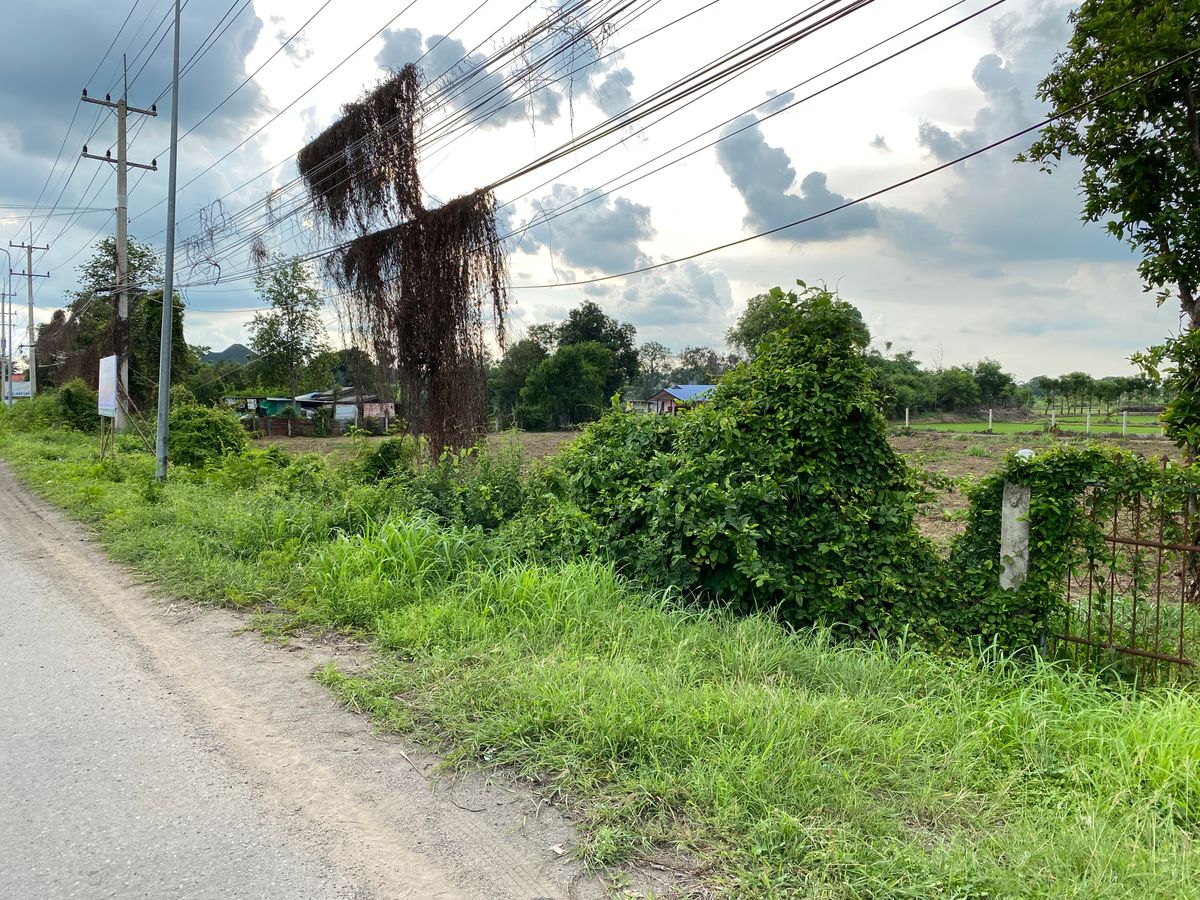For SaleLandSing Buri : Land for sale in Sing Buri Opposite Phra Non Temple For doing business, factory, warehouse, hotel, 88 meters wide, 83 meters deep Next to Highway 3032