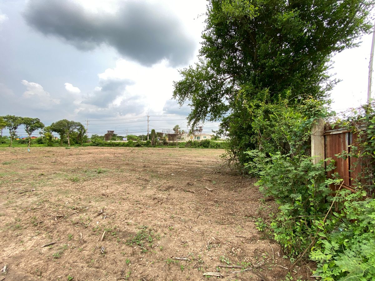For SaleLandSing Buri : Land for sale in Sing Buri Opposite Phra Non Temple For doing business, factory, warehouse, hotel, 88 meters wide, 83 meters deep Next to Highway 3032