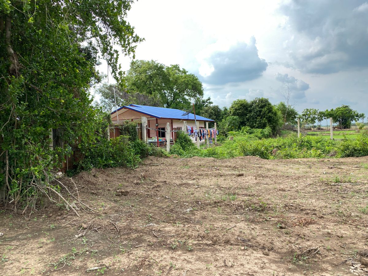 For SaleLandSing Buri : Land for sale in Sing Buri Opposite Phra Non Temple For doing business, factory, warehouse, hotel, 88 meters wide, 83 meters deep Next to Highway 3032