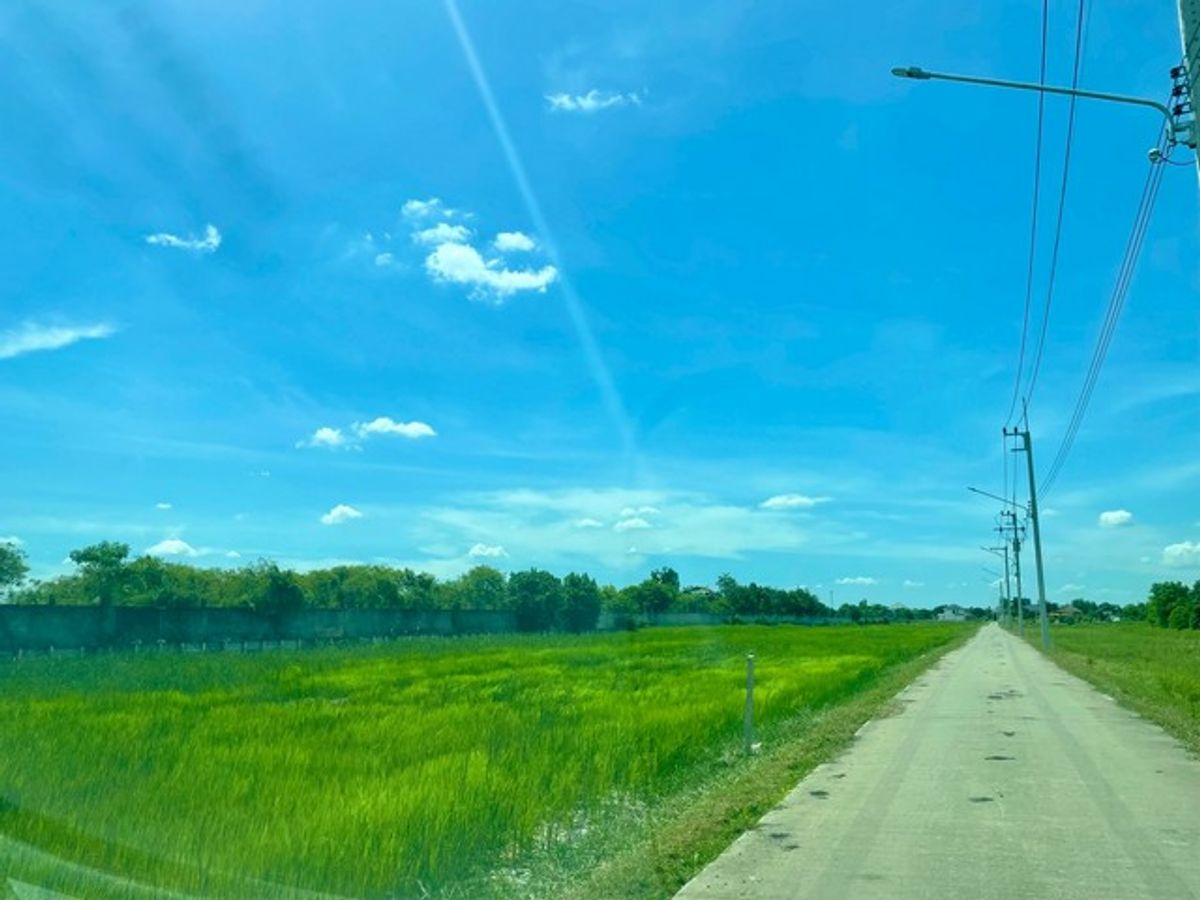ขายที่ดินอยุธยา : [ขาย] ที่ดิน 1 ไร่ | สามเรือน บางปะอิน อยุธยา | ติดถนนสาธารณะ | ใกล้มอเตอร์เวย์ | 3.8 ล้าน