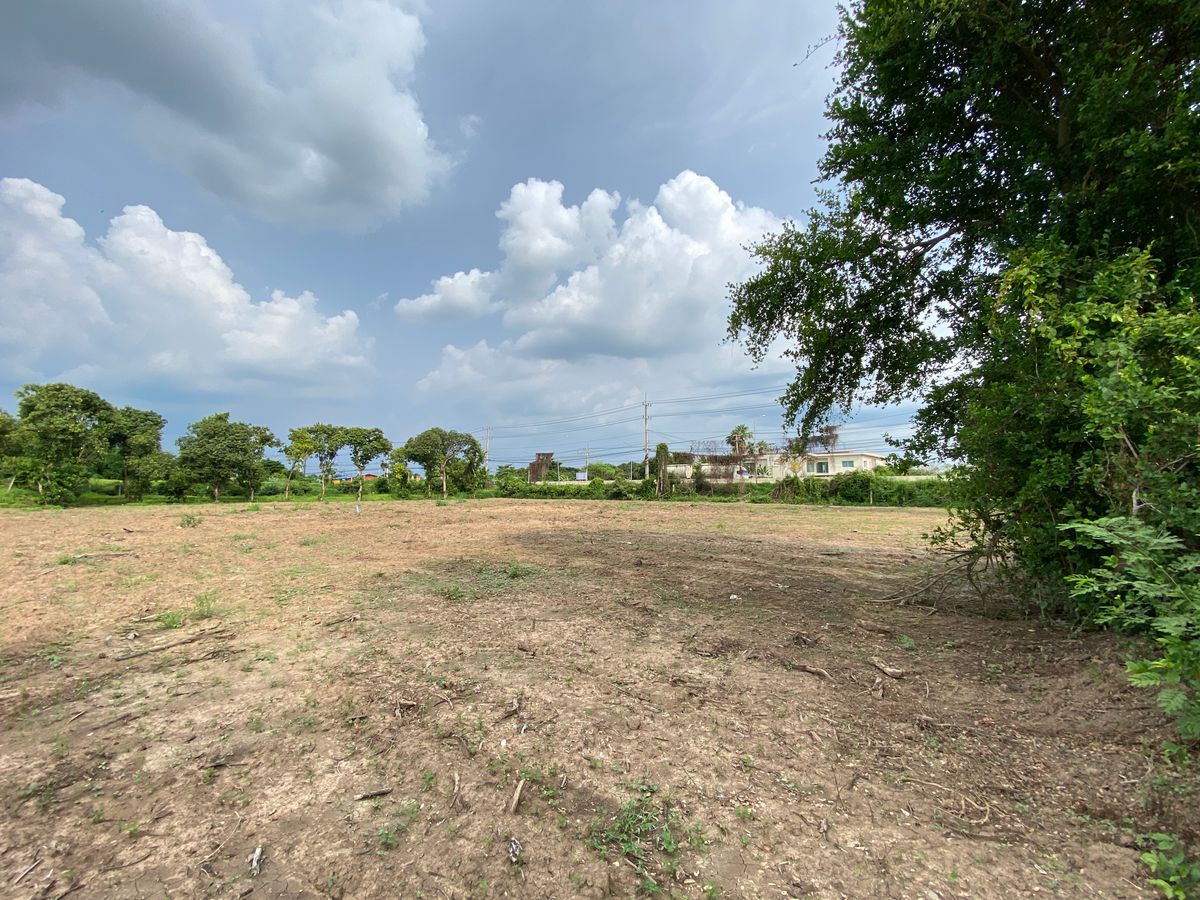 For SaleLandSing Buri : Land for sale in Sing Buri Opposite Phra Non Temple For doing business, factory, warehouse, hotel, 88 meters wide, 83 meters deep Next to Highway 3032