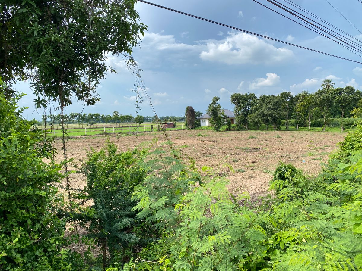 For SaleLandSing Buri : Land for sale in Sing Buri Opposite Phra Non Temple For doing business, factory, warehouse, hotel, 88 meters wide, 83 meters deep Next to Highway 3032