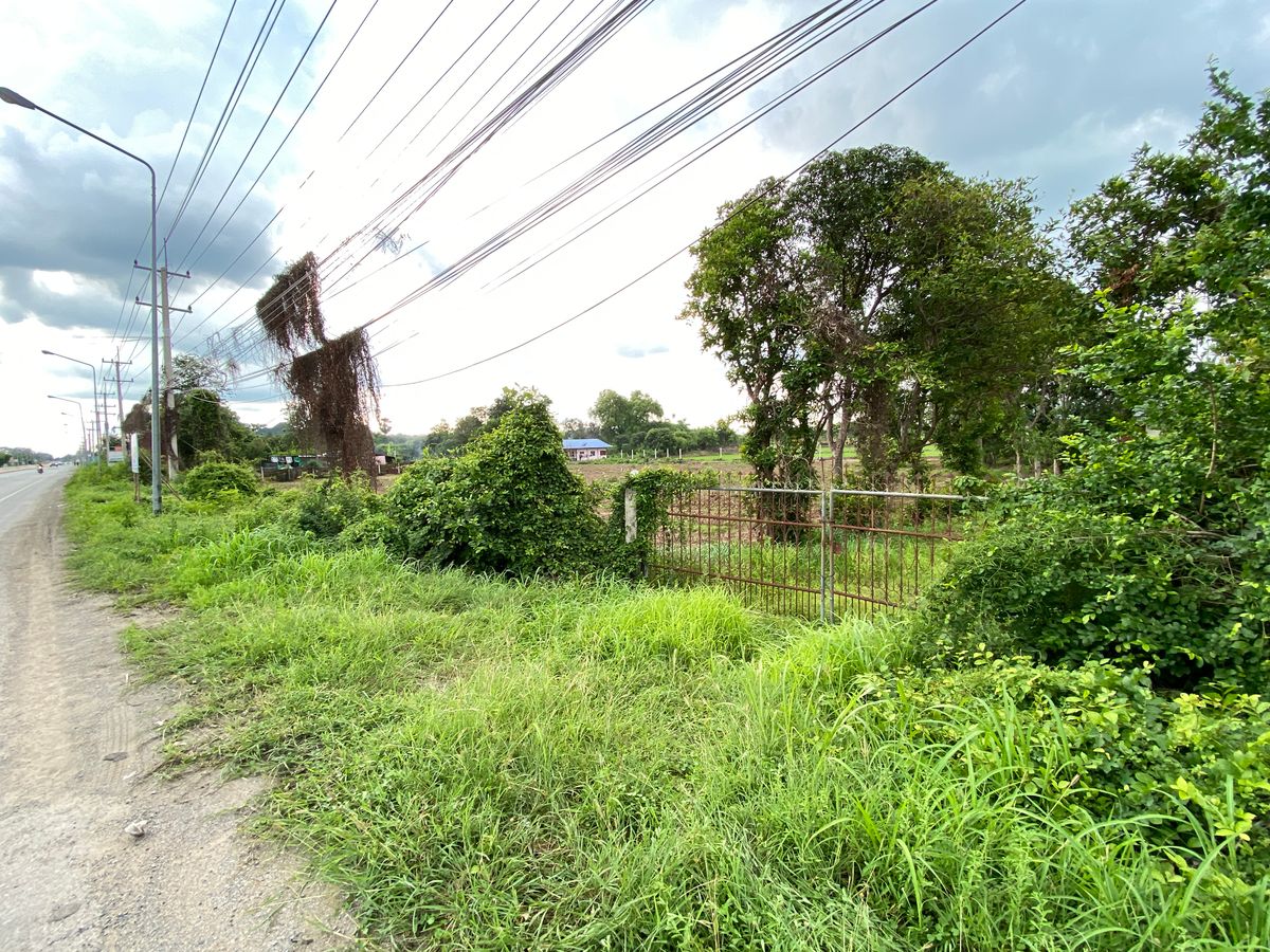 For SaleLandSing Buri : Land for sale in Sing Buri Opposite Phra Non Temple For doing business, factory, warehouse, hotel, 88 meters wide, 83 meters deep Next to Highway 3032
