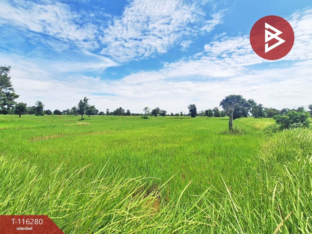 For SaleLandBuri Ram : Land for sale in an area of ​​10 rai, Nong Tat Subdistrict, Buriram Province, cheap