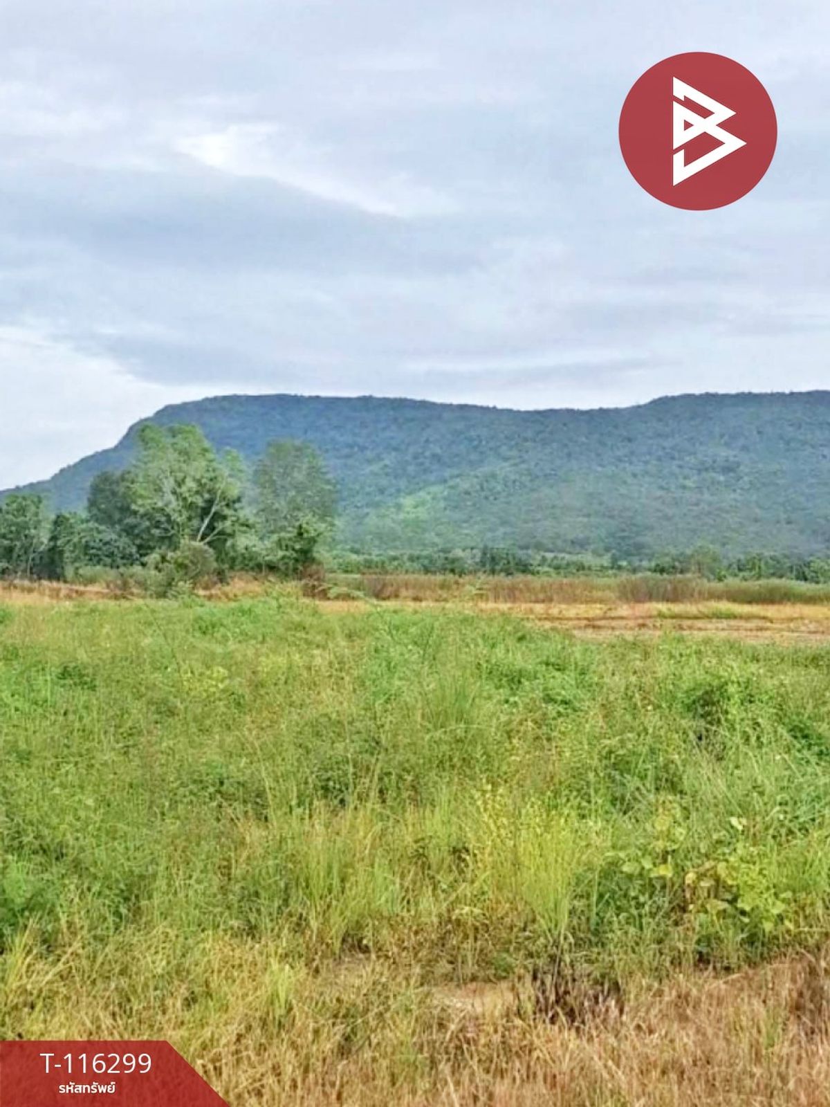 For SaleLandChiang Rai : Land for sale in an area of ​​1 rai