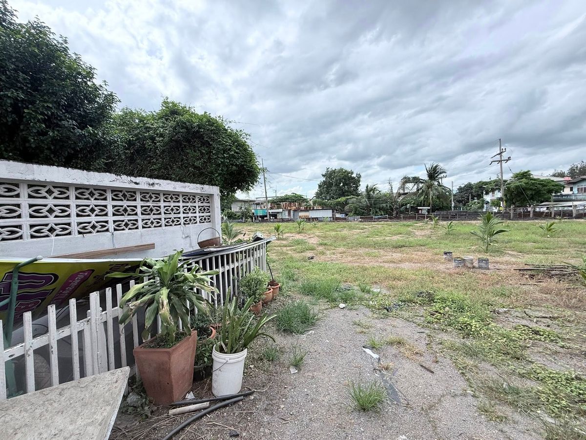 ขายที่ดินปทุมธานี รังสิต ธรรมศาสตร์ : 🌳✨ “ที่ดินสวย ทำเลศักยภาพสูง ติดถนน 2 ด้าน คลองหลวง”