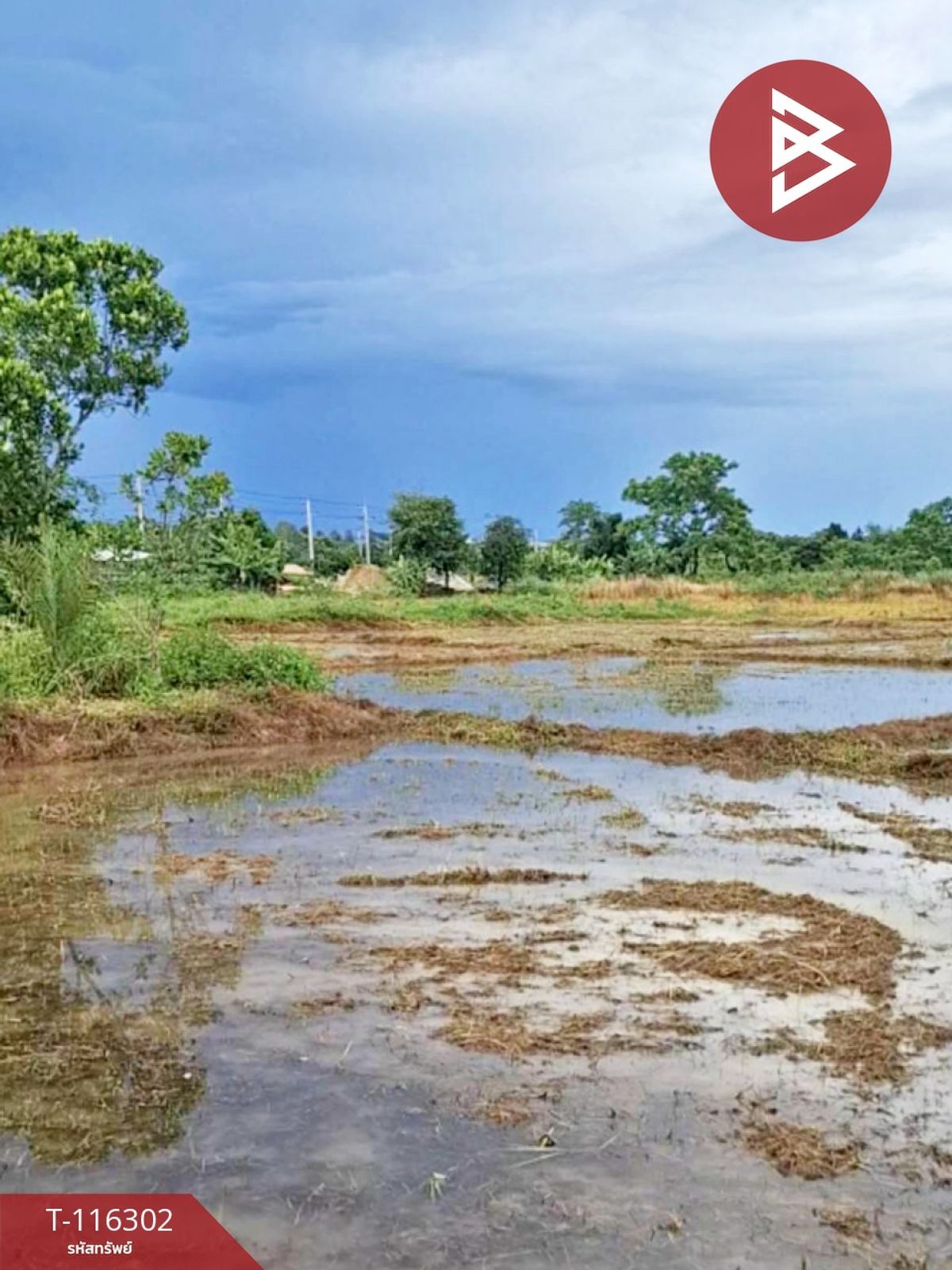 For SaleLandChiang Rai : Land for sale 2 rai 3 ngan 22 square wah, Chiang Rai