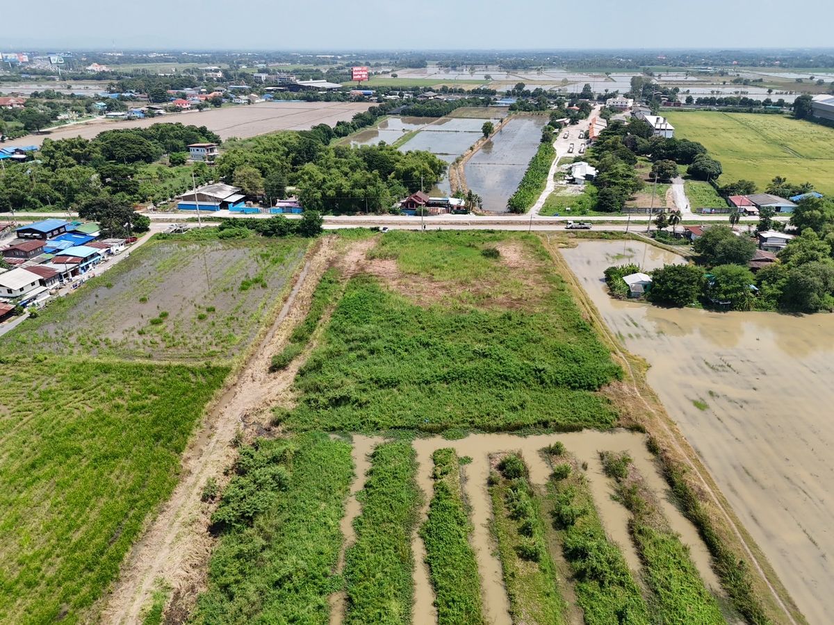 ขายที่ดินสระบุรี : ที่ดิน ต.ไผ่ต่ำ อ.หนองแค