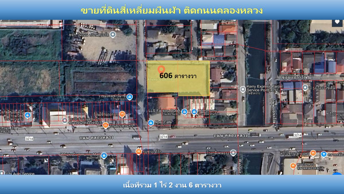 For SaleLandPathum Thani,Rangsit, Thammasat : 🌳✨ 