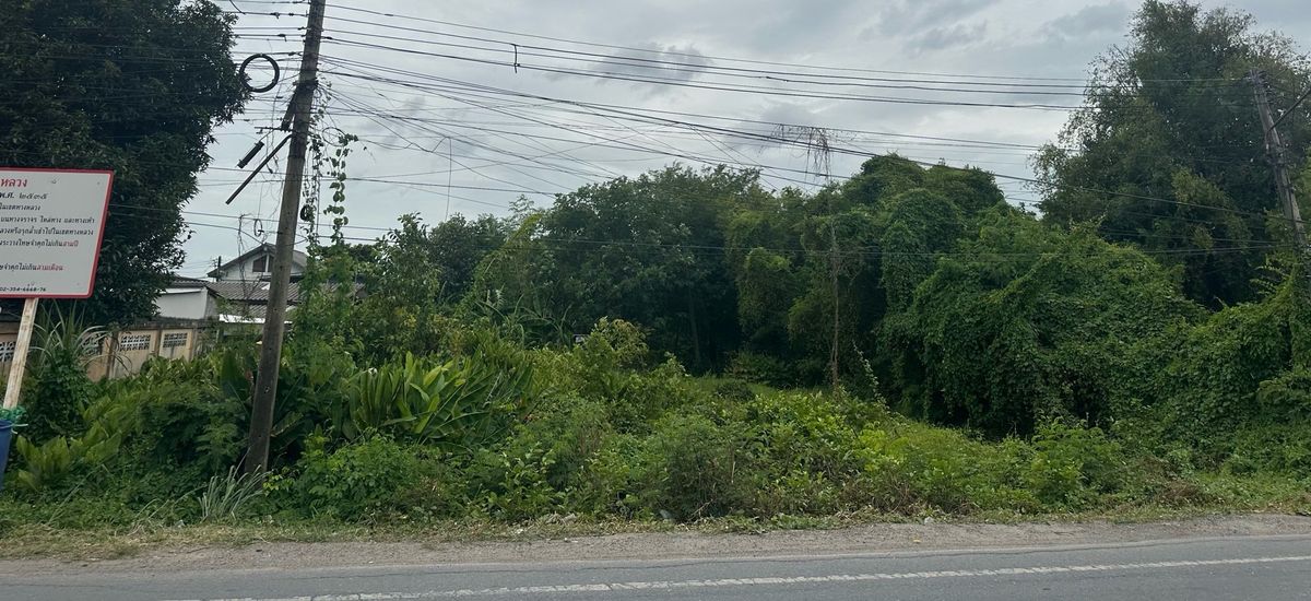 ขายที่ดินปทุมธานี รังสิต ธรรมศาสตร์ : ที่ดินเปล่าติดถนน