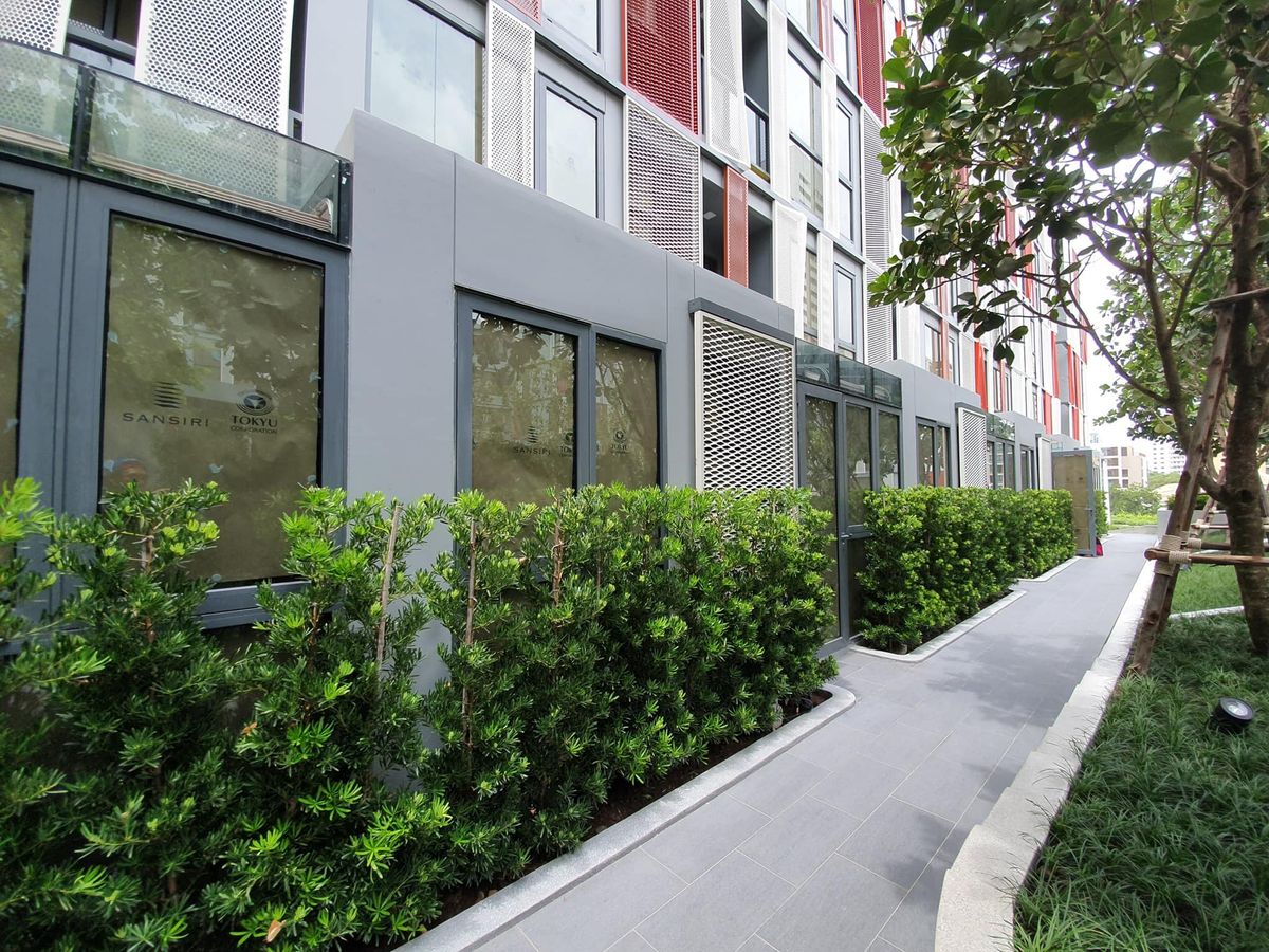 ขายคอนโดสุขุมวิท อโศก ทองหล่อ : Taka Haus Ekamai 12 / 1 Bedroom (SALE WITH TENANT), ทากะ เฮาส์ เอกมัย 12 / 1 ห้องนอน (ขายพร้อมผู้เช่า) NUUN071