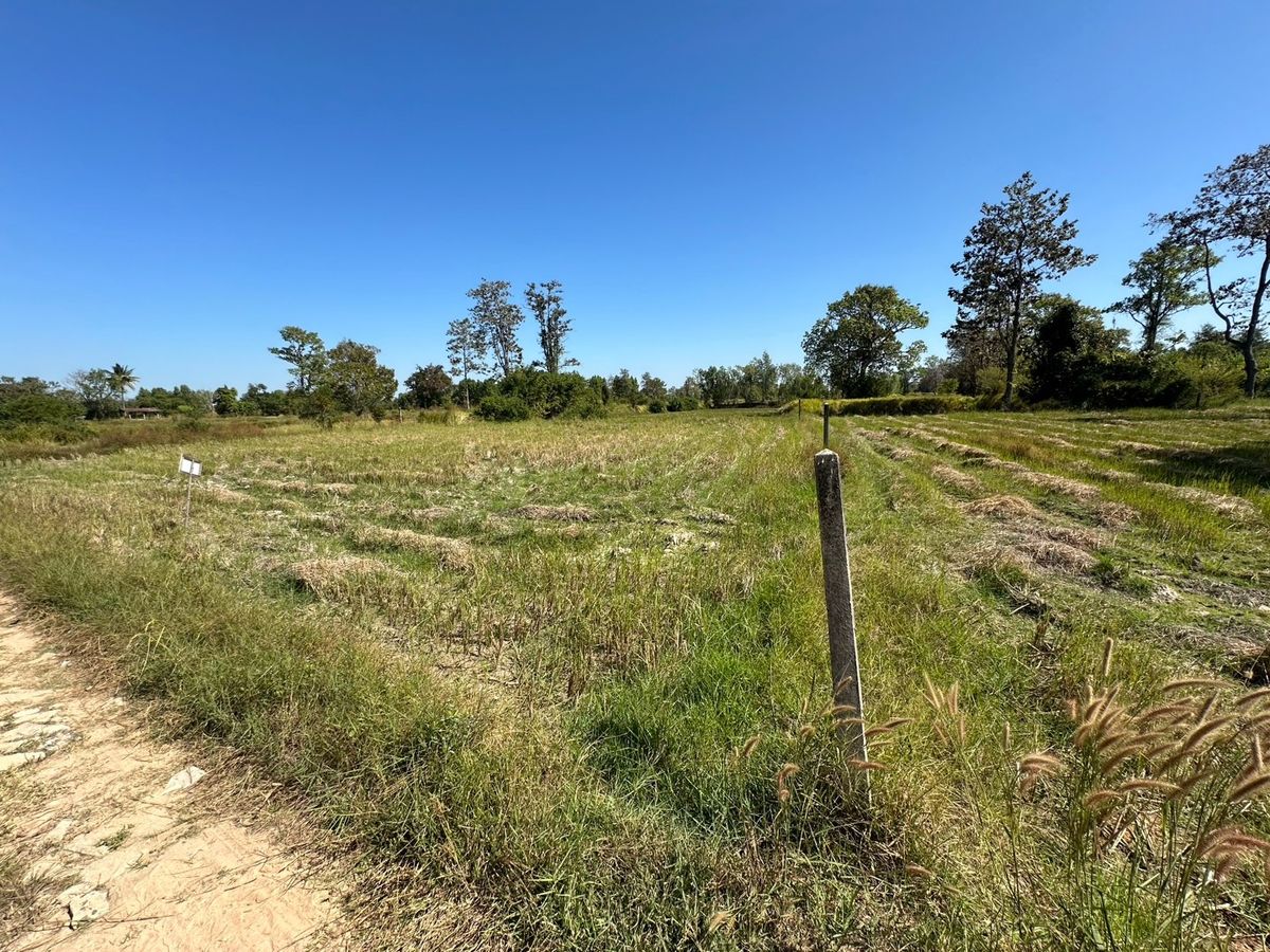 For SaleLandSi Sa Ket : Sisaket land for sale in Mueang District 2.7 Rai Special price
