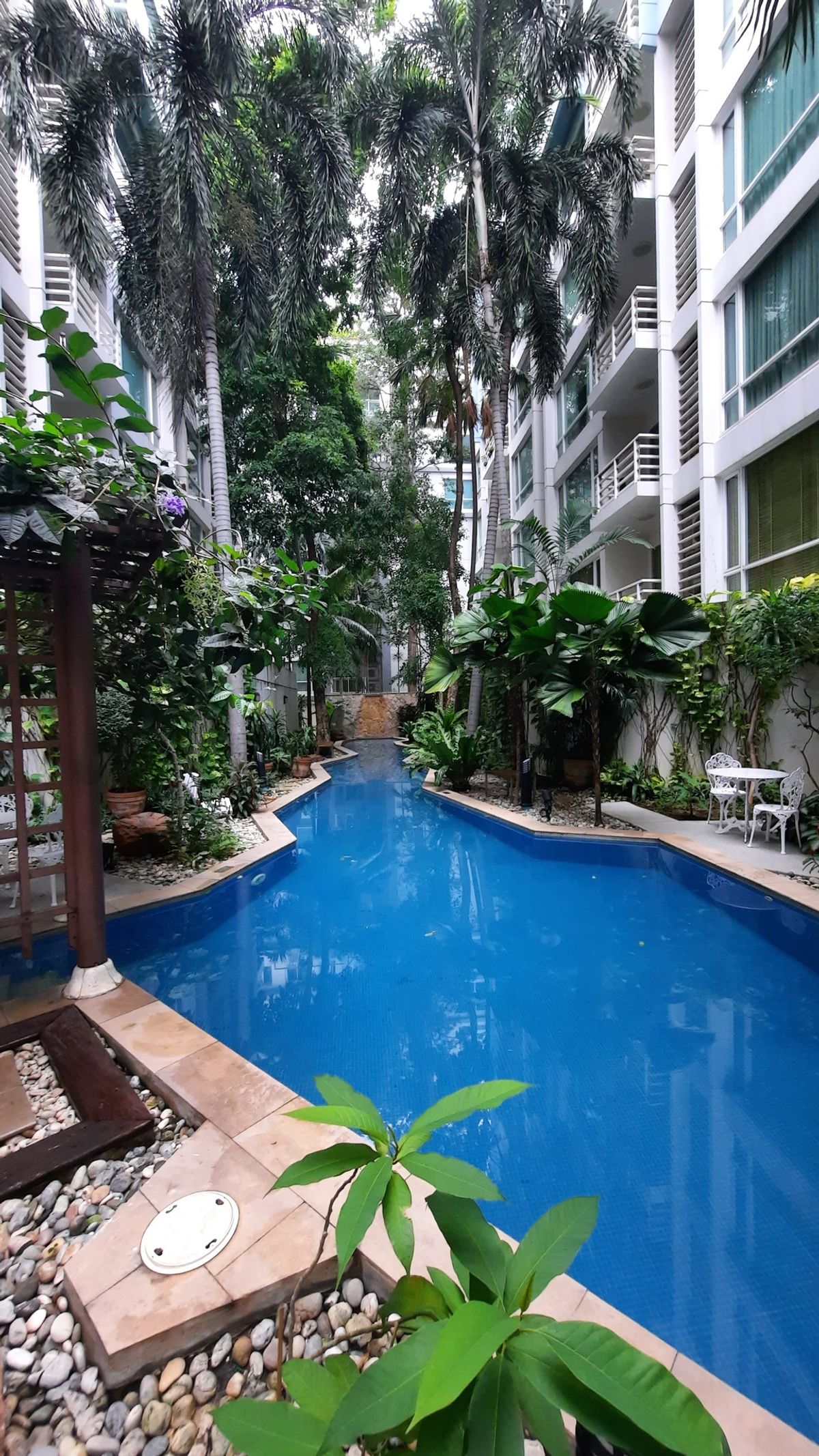 ขายคอนโดนานา : ขายคอนโด Baan siri sukhumvit 10 ราคา 6,750,000 บาท [MKs250723]