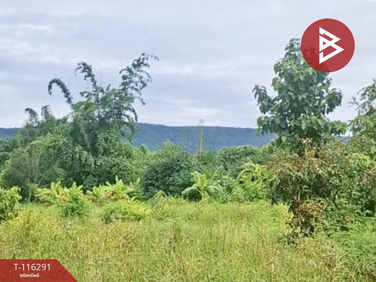 For SaleLandChiang Rai : Land for sale, area of ​​2 rai 84 square wah, Phan, Chiang Rai District