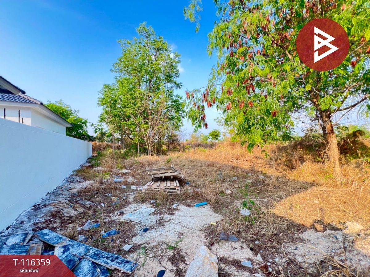 For SaleLandPattaya, Bangsaen, Chonburi : Land for sale in an area of 114 square wah, Phan Thong, Chonburi
