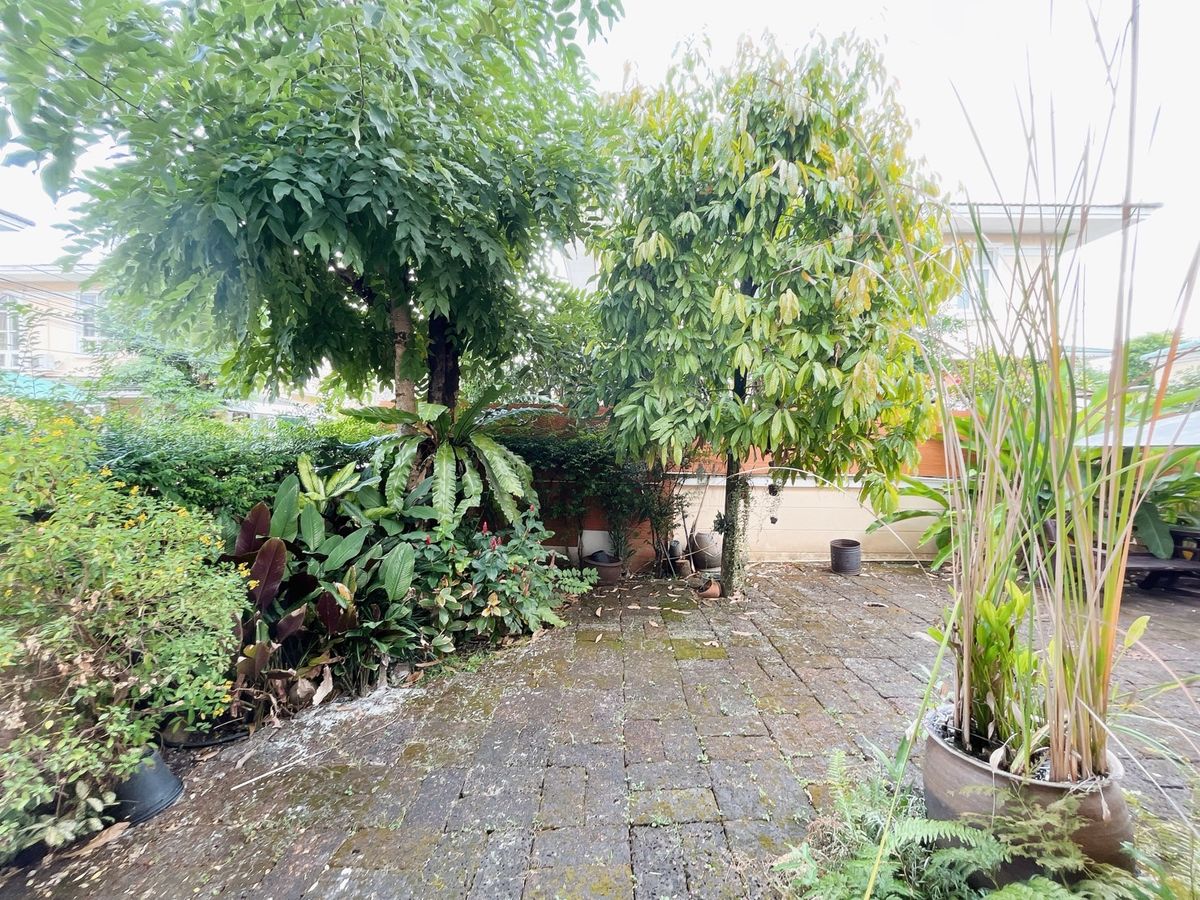 ขายบ้านนวมินทร์ รามอินทรา : ขายบ้านเดี่ยว 72 ตารางวา 6.6 ล้าน ปัญญาอินทรา โทร คุณส้ม 082-874-5666