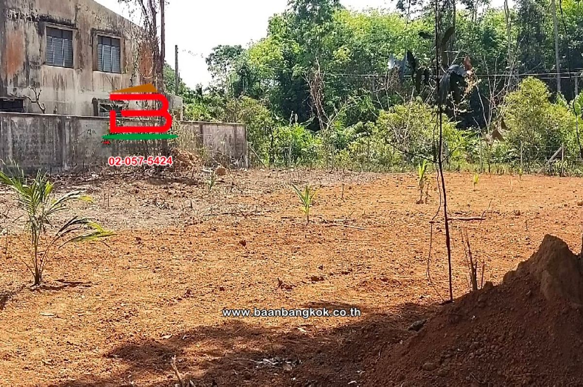 For SaleLandPhatthalung : Vacant Land, Khuan Khanun District, area 950 sq.wah, Khuan Khanun Subdistrict, Khuan Khanun District, Phatthalung Province