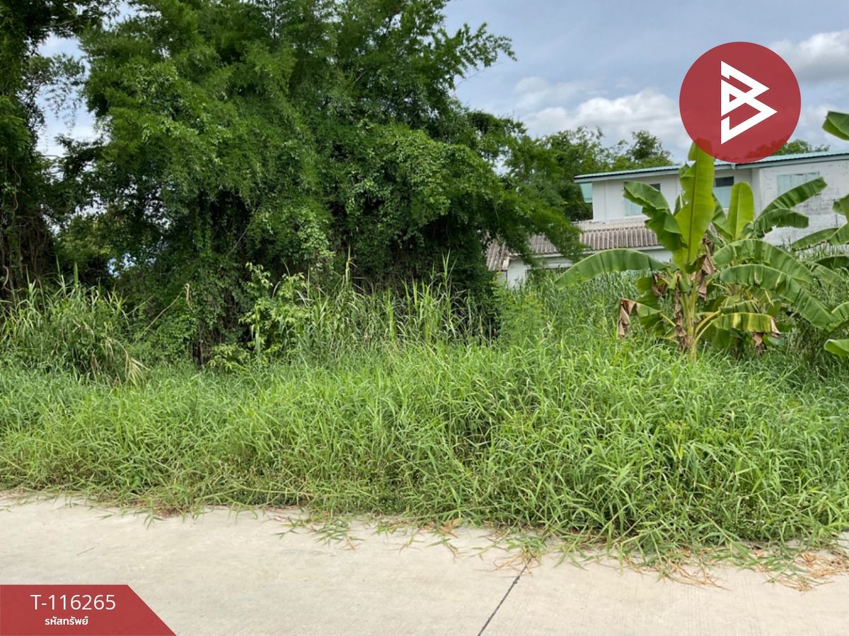 For SaleLandUthai Thani : Land for sale in an area of 1 job 48.2 sq.wah Uthai Mai Uthai Thani