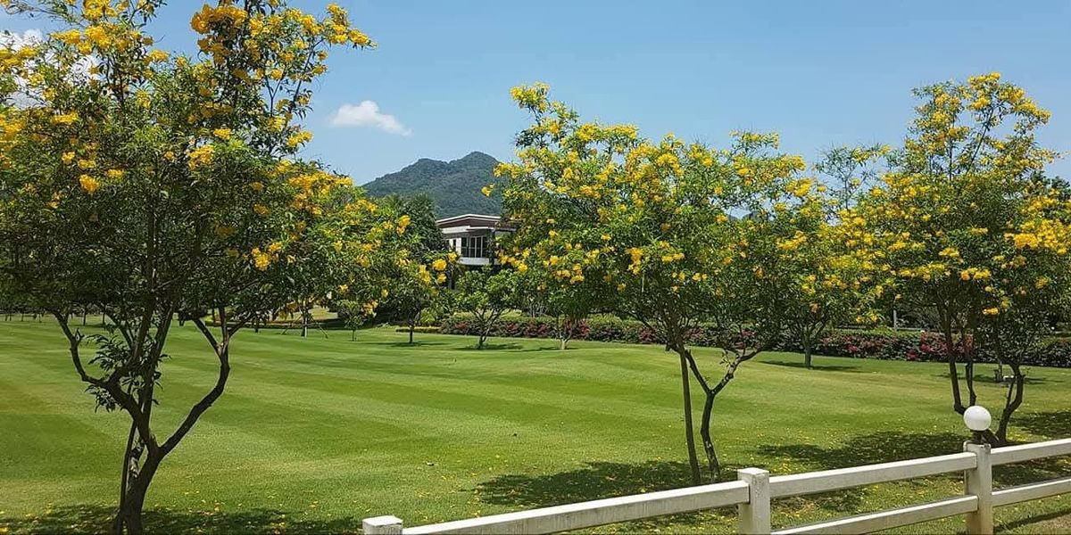 ขายที่ดินปากช่อง เขาใหญ่ : 📢ขายด่วน ไร่ศิริสัมพันธ์ ปากช่อง ที่ดินพร้อมสิ่งปลูกสร้างทั้งหมด 📣