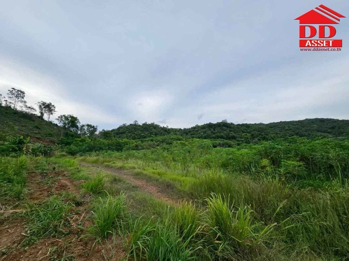 ขายที่ดินปากช่อง เขาใหญ่ : ขายที่ดินเปล่าเขาใหญ่ ตำบล หมูสี อำเภอปากช่อง  นครราชสีมา ใกล้ถนนธนรัชต์-เขาใหญ่เพียง 500 เมตร รหัส : L8044