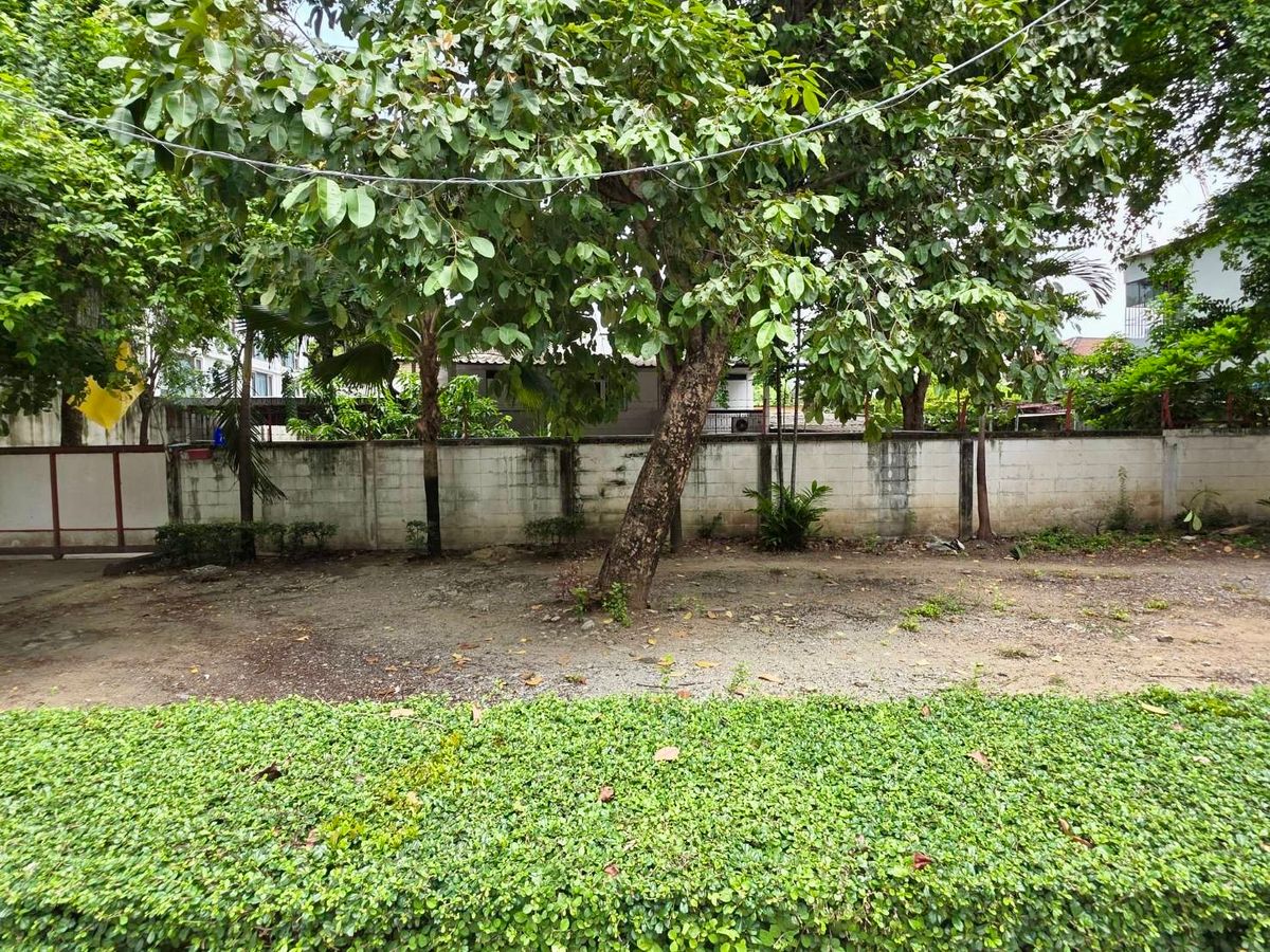 For SaleLandAri,Anusaowaree : Land for Sell Rama 6: 189.7SQWAH on the Main Road 90,000,000 Near BTS Ari and Expressway AM: 0656199198