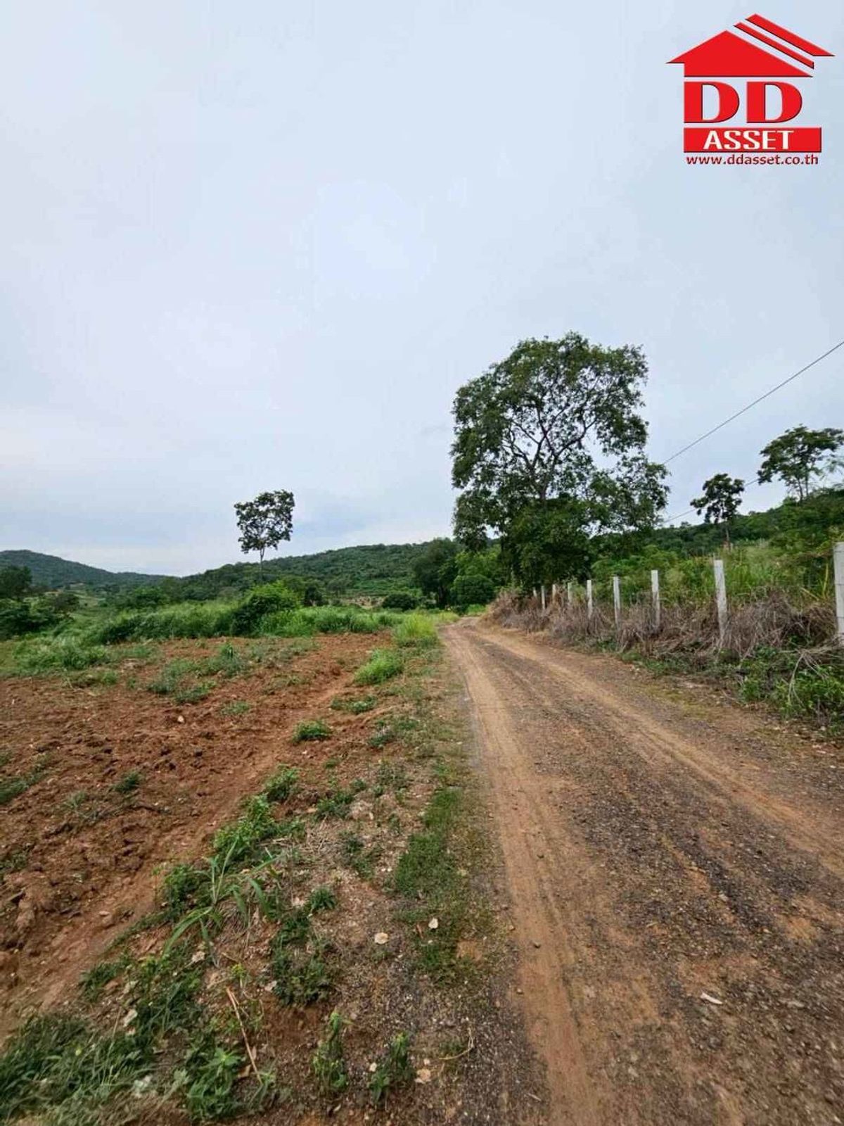 ขายที่ดินปากช่อง เขาใหญ่ : ขายที่ดินเปล่าเขาใหญ่ ตำบล หมูสี อำเภอปากช่อง  นครราชสีมา ใกล้ถนนธนรัชต์-เขาใหญ่เพียง 500 เมตร รหัส : L8044