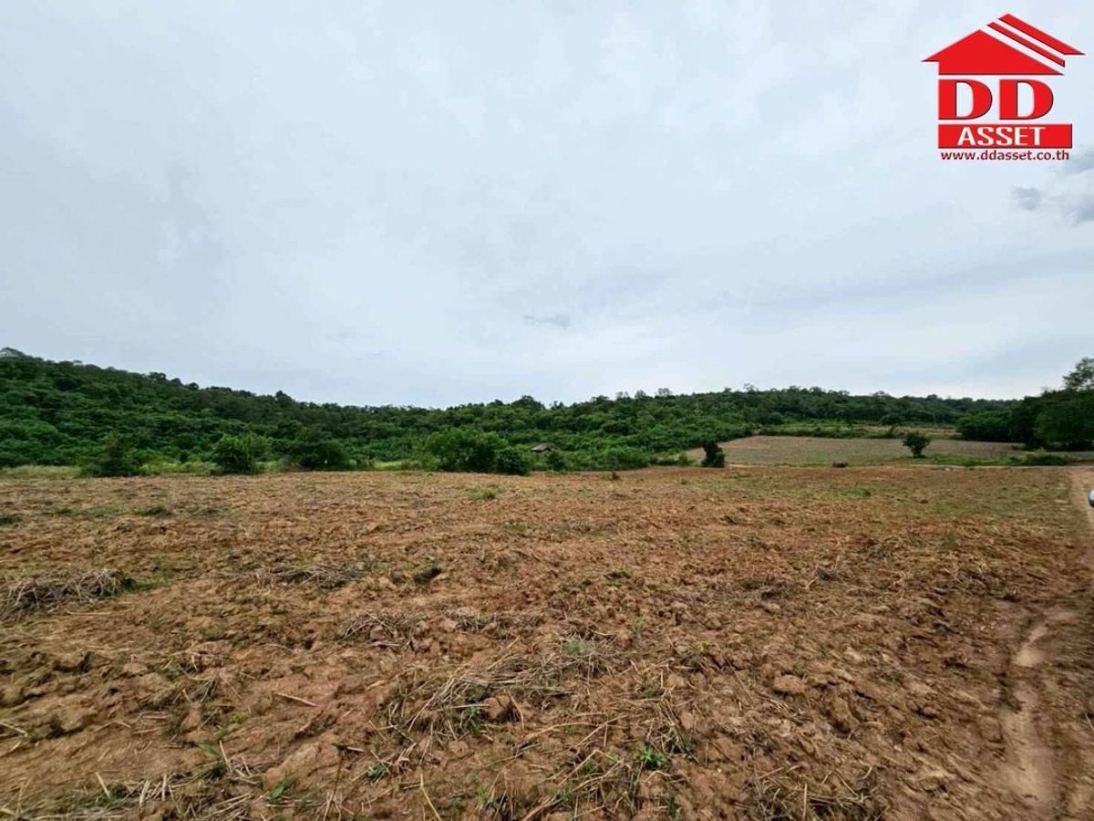 ขายที่ดินปากช่อง เขาใหญ่ : ขายที่ดินเปล่าเขาใหญ่ ตำบล หมูสี อำเภอปากช่อง  นครราชสีมา ใกล้ถนนธนรัชต์-เขาใหญ่เพียง 500 เมตร รหัส : L8044