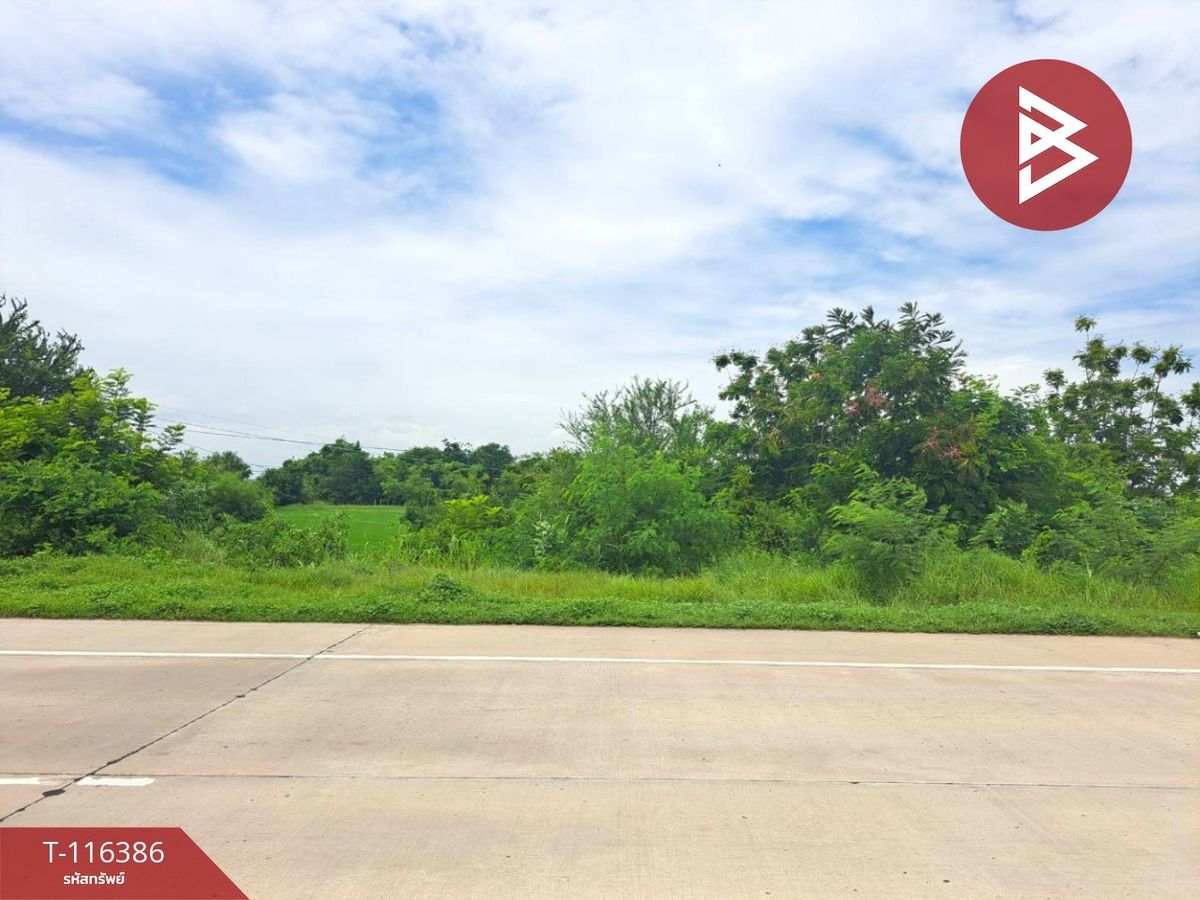 For SaleLandNakhon Sawan : Land for sale, area of 12 rai 1 ngan 22 sq.wakli, Nakhon Sawan