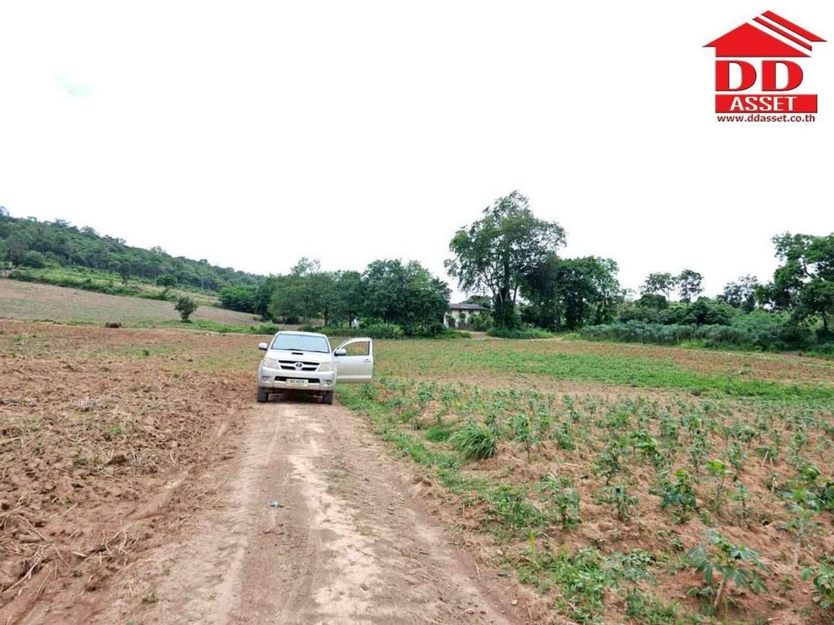 ขายที่ดินปากช่อง เขาใหญ่ : ขายที่ดินเปล่าเขาใหญ่ ตำบล หมูสี อำเภอปากช่อง  นครราชสีมา ใกล้ถนนธนรัชต์-เขาใหญ่เพียง 500 เมตร รหัส : L8044