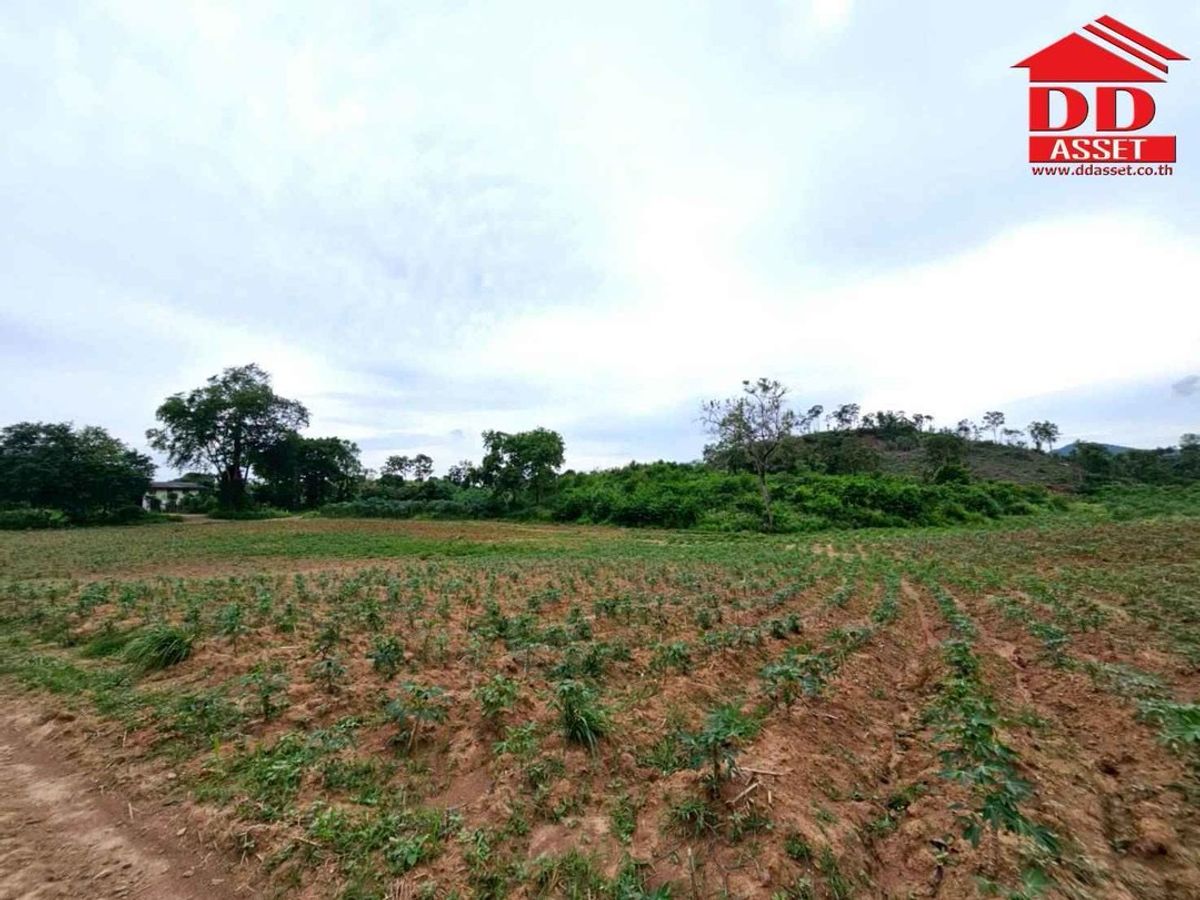 ขายที่ดินปากช่อง เขาใหญ่ : ขายที่ดินเปล่าเขาใหญ่ ตำบล หมูสี อำเภอปากช่อง  นครราชสีมา ใกล้ถนนธนรัชต์-เขาใหญ่เพียง 500 เมตร รหัส : L8044